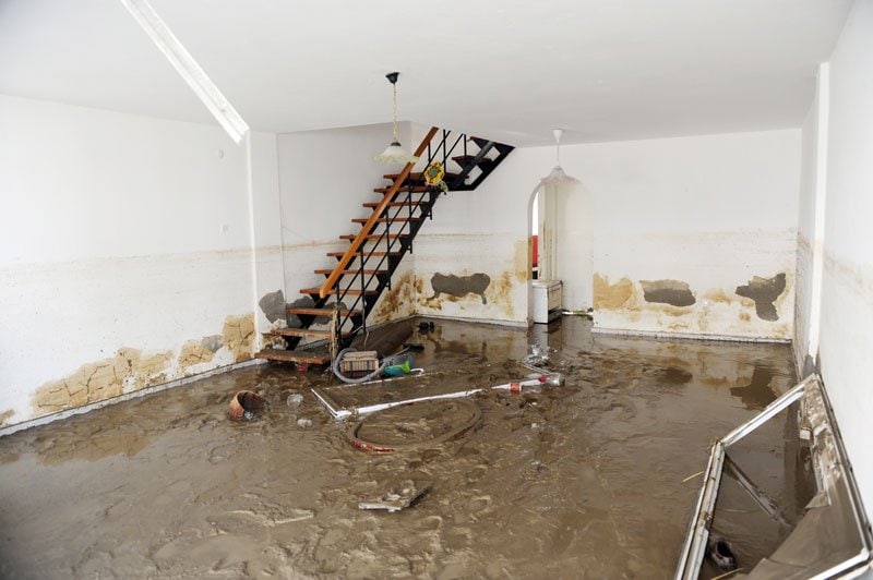 mold after water damage