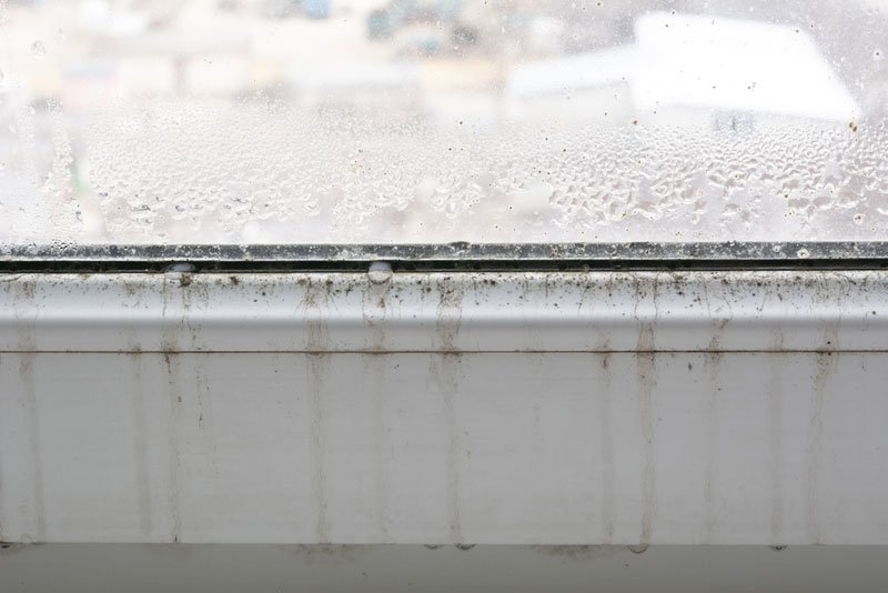 black mold on windows
