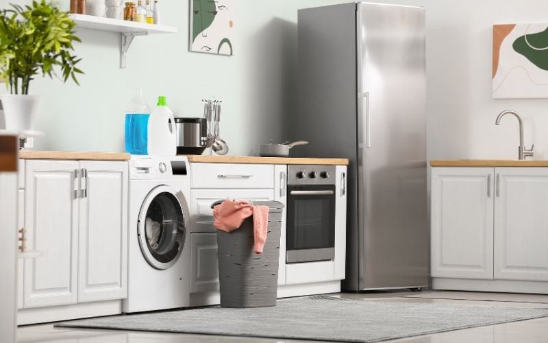 mold in washing machines