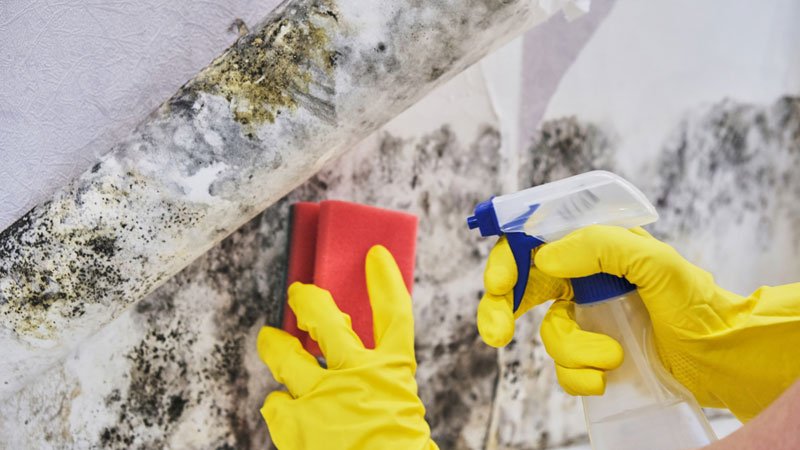 clorox bleach