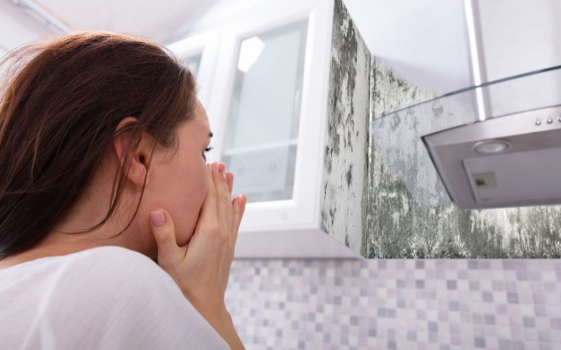 mold growth locations