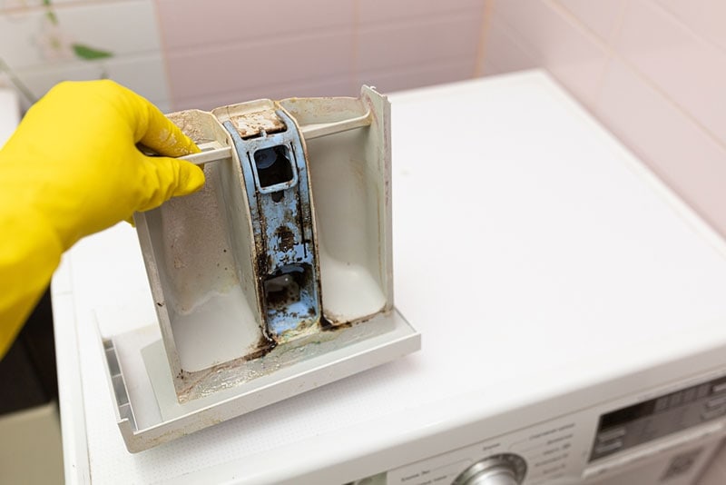 Black Mold In Washing Machines