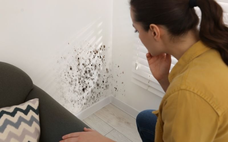 signs of mold