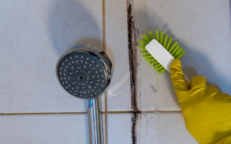 mold in toilet