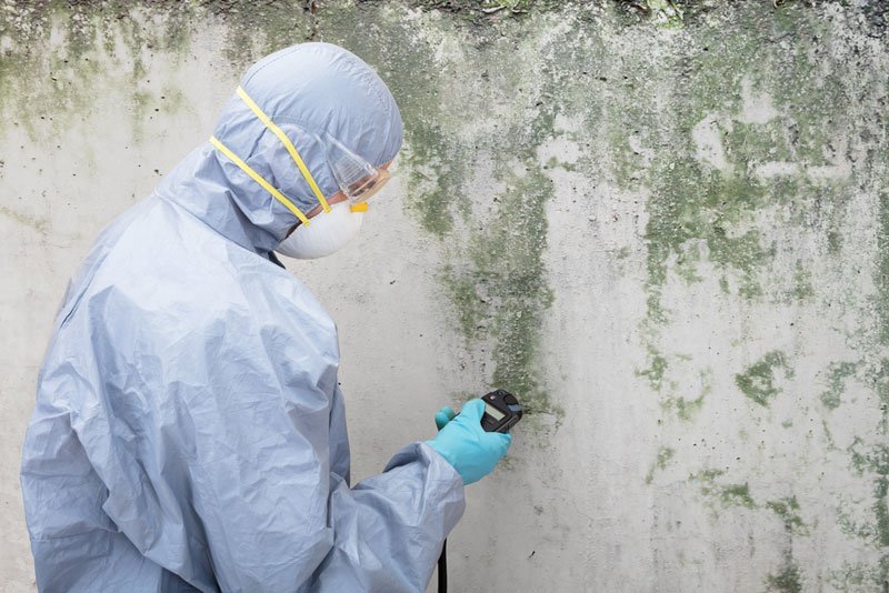 mold detection for property