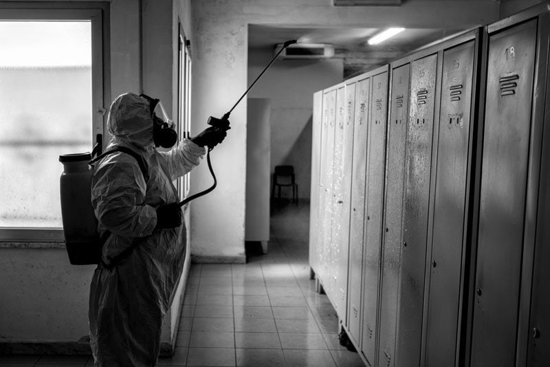 mold remediation