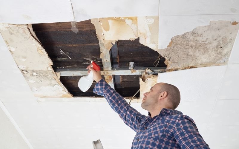 mold-resistant bathroom ceilings