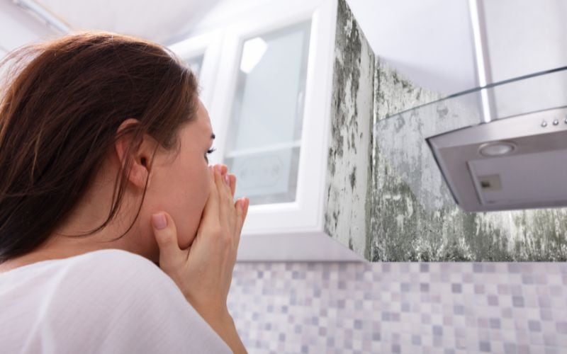 mold