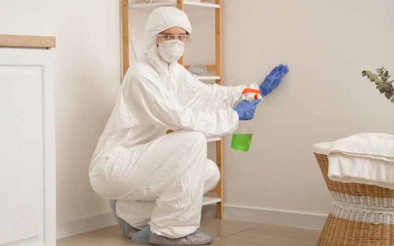 mold removal
