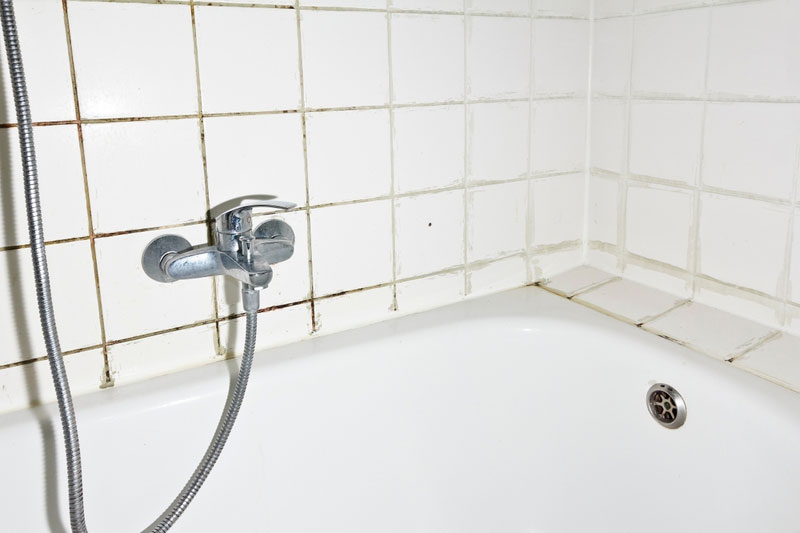 black mold in shower