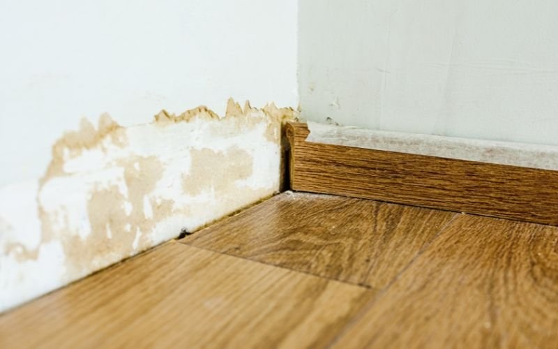 water damage in wood