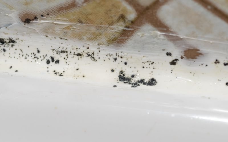 mold grows in bathroom