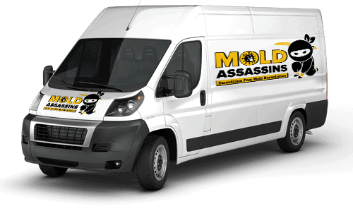 CitrusVan